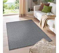 HomebyHome Tapis Salon Moderne Gris 120 x 170 cm - Tapis Poil Court Salle de Séjour Couleur Unie Extra Doux et Moelleux - Unicolore Tapis Lavable pour Chambre, Salon et Cuisine