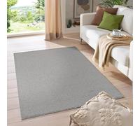 HomebyHome Tapis Salon Moderne Gris Clair 240 x 340 cm - Tapis Poil Court Salle de Séjour Couleur Unie Extra Doux et Moelleux - Unicolore Tapis Lavable pour Chambre, Salon et Cuisine