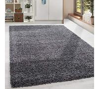 HomebyHome Tapis Salon Moderne Tapis Chambre Gris 200x290 cm - Tapis Shaggy Salle de Séjour à Poils Longs Unicolore Concevoir Doux et Moelleux - Tapis Cuisine Enfant Moquette Rectangulaire