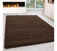 HomebyHome Tapis Shaggy à Poils Longs Concevoir Unicolore Salle de séjour Doux et Moelleux Rectangulaire Rond Coureur, Couleur :Marron, Taille:160x230 cm