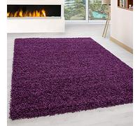 HomebyHome Tapis Shaggy à Poils Longs Concevoir Unicolore Salle de séjour Doux et Moelleux Rectangulaire Rond Coureur, Couleur :Pourpre, Taille:120x170 cm