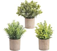 homEdge Lot de 3 Mini Eucalyptus artificiels en Pot avec Pot pour décoration de la Maison, du Bureau