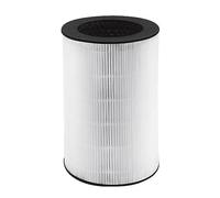Homedics Filtre de rechange pour purificateur d'air TotalClean PetPlus 5 en 1