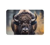 HOMEFC Paillasson Bison d'Amérique du Nord - Pour intérieur et extérieur - Tapis de bienvenue - 40,6 x 61 cm - Antidérapant - Facile à nettoyer