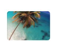 HOMEFC Tapis de porte intérieur et extérieur des îles des Caraïbes, tapis de bienvenue 40,6 x 61 cm, antidérapant, facile à nettoyer