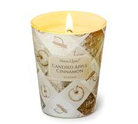 HomeLights Grande bougie en pot | Bougies parfumées longue durée à 1 mèche, 6.7oz, cire de soja naturelle pour une ambiance chaleureuse, cadeaux rustiques et modernes Pomme confite cannelle