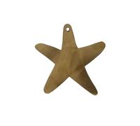 Homemaison - Déco Murale Étoile de Mer en Laiton - Métal - Ambiance Marine et Élégante - Fixation Murale ou Suspension - Idéale pour Salon, Chambre, Bureau - Taille 7 x 7 cm - Couleur Doré