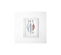 Homemania Tableau avec Cadre - Plumes - Décoration Murale, Art Mural, Mur - pour le Salon - Multicolore en Polyester, MDF, 30 X 3,6 X 40cm