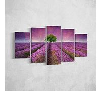 Homemania Tableau Fleurs - 5 Pièces - Nature et Paysages - par Salon, Pièce - Multicouleur en Polyester, Bois, 100 X 3 X 60cm - HM205PKNV-210
