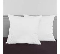 HOMEROKK Lot 2 Oreillers | Haute Qualité (60 X 60 cm)