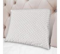 HOMEROKK Lot de 2 Oreillers à Mémoire de Forme (60 X 60 cm)