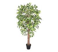 HOMESCAPES Arbre Artificiel Ficus Benjamina, Plante d’intérieur Figuier pleureur en Pot, avec Tronc en Bois véritable, Feuilles panachées 180 cm, Décoration de la Maison et du Bureau