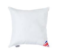 HOMESCAPES Coussin de garnissage en 100% Microfibre Ultra Douce, Coussin à recouvrir 55x55 cm