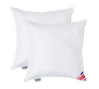 HOMESCAPES Coussin de garnissage en 100% Microfibre Ultra Douce, Coussin à recouvrir 55x55 cm - Lot de 2