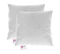 HOMESCAPES Coussin de garnissage en Duvet et Plumes d’oie et Coton, Coussin à recouvrir 35x35 cm - Lot de 2