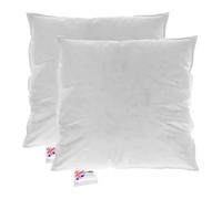 HOMESCAPES Coussin de garnissage en Duvet et Plumes d’oie et Coton, Coussin à recouvrir 45x45 cm - Lot de 2