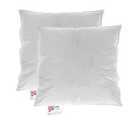 HOMESCAPES Coussin de garnissage en Duvet et Plumes d’oie et Coton, Coussin à recouvrir 65x65 cm - Lot de 2