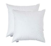 HOMESCAPES Coussin de garnissage en Plumes de Canard et Coton, Coussin à recouvrir 65x65 cm - Lot de 2