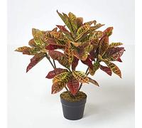HOMESCAPES Croton Rouge Plante Rouge et Jaune Artificielle en Pot, 65 cm