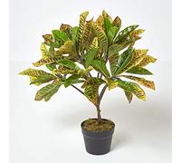 HOMESCAPES Croton Vert Plante Verte et Jaune Artificielle en Pot, 65 cm