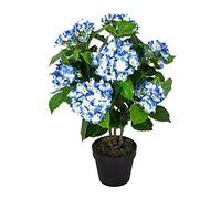 HOMESCAPES Hortensia Artificiel Fleuri Bleu en Pot 70 cm