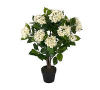 HOMESCAPES Hortensia Artificiel Fleuri crème en Pot 85 cm