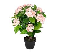 HOMESCAPES Hortensia Artificiel Fleuri Rose en Pot 70 cm