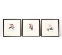 HOMESCAPES Lot de 3 tableaux encadrés - Pivoines tableaux de fleurs, 40 x 40 cm chacun
