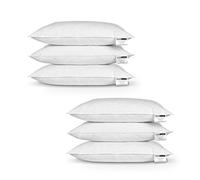 HOMESCAPES Lot de 6 Oreillers naturels en Plumes de Canard Ultra gonflants et Moelleux, 50 x 75 cm