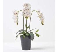 HOMESCAPES Orchidée Artificielle Blanche en Pot en céramique Noir, Fleurs artificielles déco 56 cm
