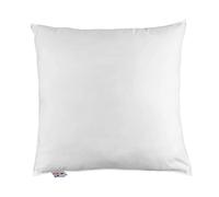 HOMESCAPES Oreiller en Duvet d’Oie et Coton, 65 x 65 cm, Oreiller Naturel Souple Hypoallergénique Anti-acariens