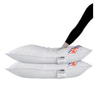 HOMESCAPES - Oreiller Ultra Doux en 100% Microfibre, Lot de 2, hypoallergéniques et Moelleux - 50 x 75 cm