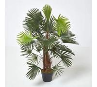 HOMESCAPES Palmier bambou vert Palm Lady, grandes feuilles, en pot 90 cm