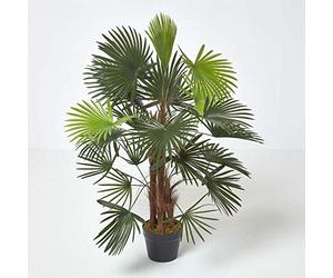 HOMESCAPES Palmier Bambou Vert Palm Lady, Grandes Feuilles, en Pot 90 cm
