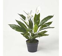 HOMESCAPES Plante artificielle Arum en pot, Fausse plante d’intérieur 60 cm