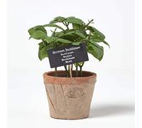 HOMESCAPES Plante Verte Artificielle en Pot Basilic, Herbe aromatique Artificielle