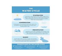 Homeschool Science Poster Water Cycle Printable Diagram For Weather Unit Study Classroom Decor Canvas Print(Unframed,08X12inch(20X30cm))
