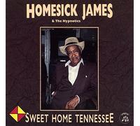 Homesick James & the Hypnotics - Sweet Home Tennessee