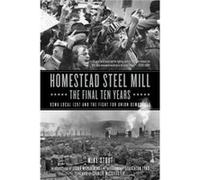 Homestead Steel Mill The Final Ten Years by Mike Stout Paperback Book Mike Stout (Auteur)