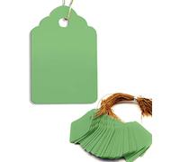 HOMETOOLS Lot de 100 pendentifs pour plantes avec ficelle, résistants aux intempéries, plastique, 3,5 x 2,5 cm, vert