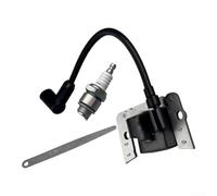 HomeVortex Module ignition haute tension plastique et métal pour robuste