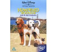 Homeward Bound 2: Lost in San Francisco – Disney – Import