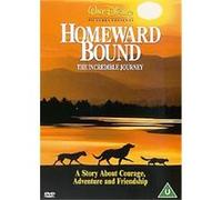 Homeward Bound: The Incredible Journey – Disney – Import