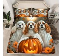 Homewish Drap Housse 150x200 Enfant Chien Chiot,Drap-Housse Lanterne de Citrouille Effrayante,Drap de Lit Chien Chien Gothique Halloween Bats Horror Moon Web D'Araignée 2 Taies d'oreiller