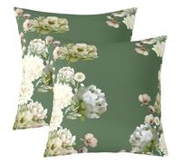 Homewish Lot de 2 Housse de Coussin 45x45 Floral,Taie d'oreiller Fleur d'olive Vert,Housse d'oreiller Enfants Adolescents Fleur Botanique,Taie Oreiller Peinture À Encre Vintage