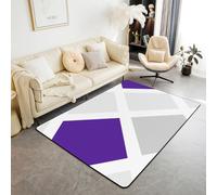 Homewish Tapis Salon 150x200cm Carré, Tapis Sol Abstract Moderne, Tapis Chambre Raie de Lignes Violettes, Décoration D'Intérieur Art Minimaliste Simple Gris,Géométrique Contemporaine
