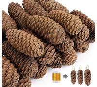 Homewit 30 Pièces Pommes de Pin 6-8CM Longues Décorations De Pommes De Pin Noël, Cônes de Pin Naturel de Noël Décoration à Suspendre pour Sapin de Noël Christmas Decor pour Déco Bricolage Fête