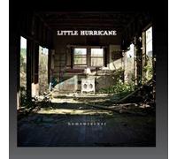 Homewrecker by Little Hurricane