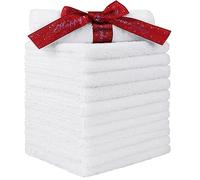 HOMEXCEL Lot de 12 débarbouillettes en microfibre très absorbantes et douces, multi-usages pour salle de bain, hôtel, spa, salle de sport et cuisine, 30,5 x 30,5 cm