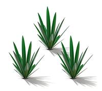 Homight Sculpture Tequila Country en métal à Faire soi-même, Style Country, décoration d'intérieur et d'extérieur, pour Le Jardin, Le Patio, la pelouse